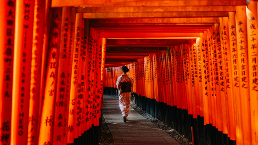 L'Histoire Fascinante des Kimonos : Un Voyage à Travers les Siècles